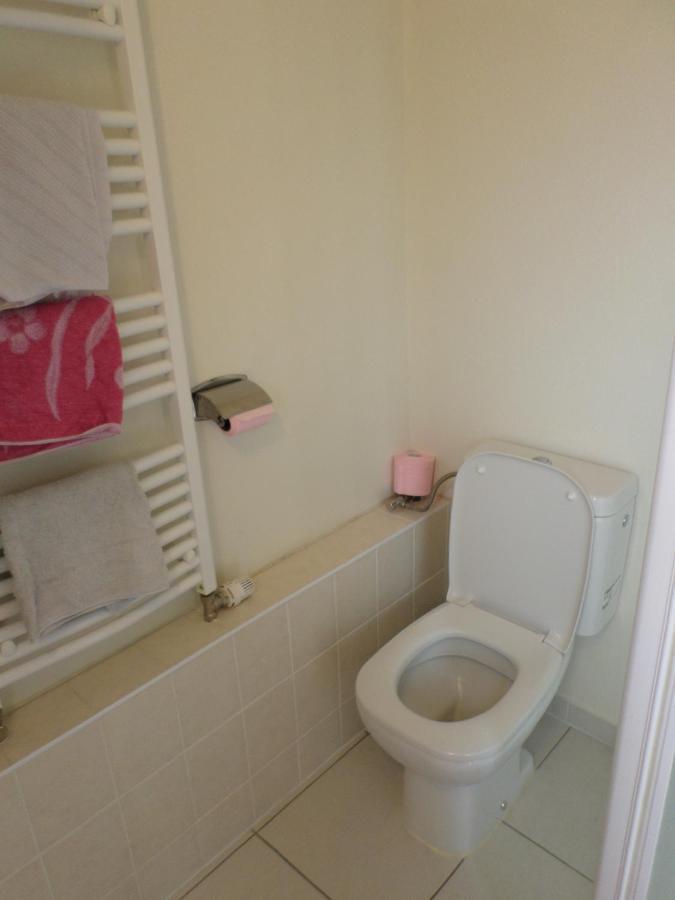 Studio-Appartement A Proximite D'Une Maison De Maitre De 1904 Haguenau Ngoại thất bức ảnh